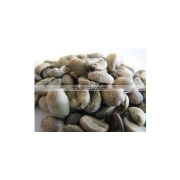 arabica green coffee bean