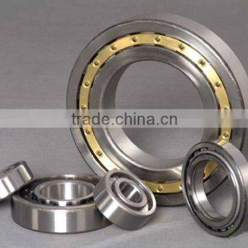 NU305E Automation Equipment Cylindrical Roller Bearings