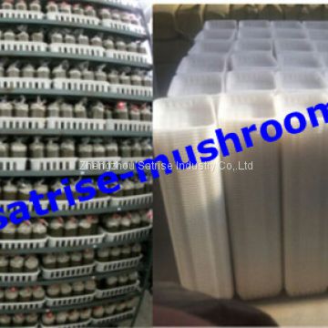 Stackable plastic agricultural crate mushroom basket