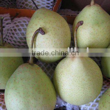 Fresh Green pear