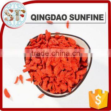 The red sweet Ningxia goji berry in high quality