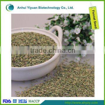 Fennel Seeds