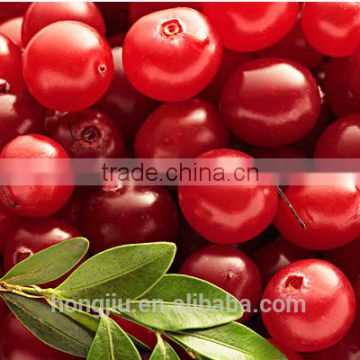 Wholesale Cranberry Powder Extract