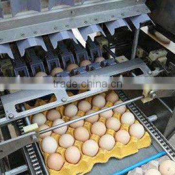 Egg grading/ Cleaning/ Candling/ Packaging machines