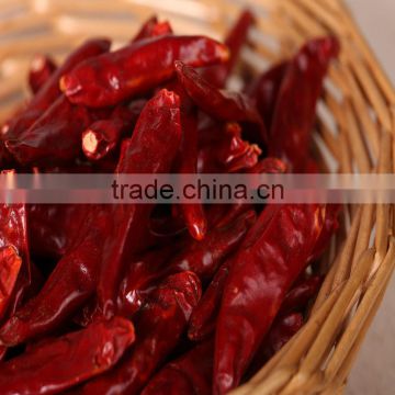 China Supplier with ISO9001 HACCP OU BRC 2013 Red Chili