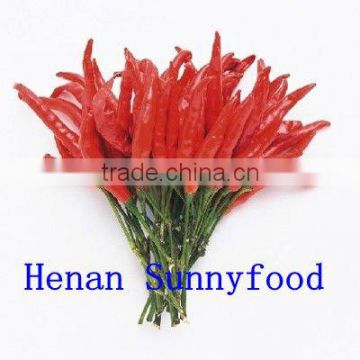 GOOD QUALITY DRY RED CHILLI