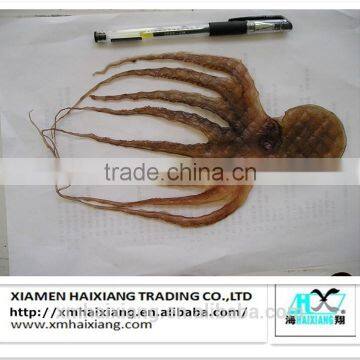 High quality small octopus for sale