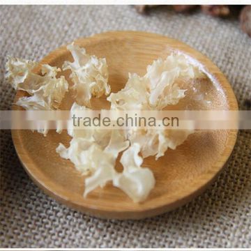 Hot Selling Dried White Fungus / Tremella Fuciformis Product