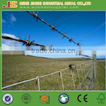 BWG14 Galvanized Barbed iron Wire