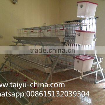 Chicken Cage 120 Birds 3 Tier or 256 Birds Chicken Cage Hot Sale in Zimbia