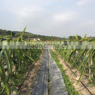 Plentirain Pressure-compensating Drip Irrigation Tape photo-4