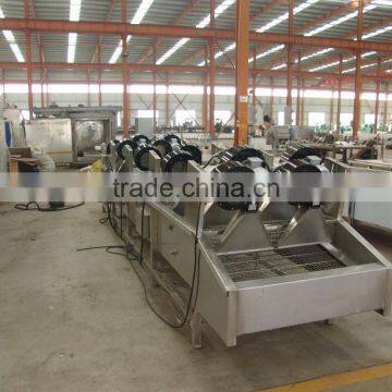 Customized Vegetable/Fruit Washing Process Line for Manufacturing photo-4