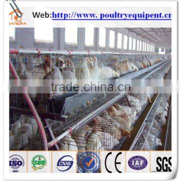 cage for poultry for chicken big farm