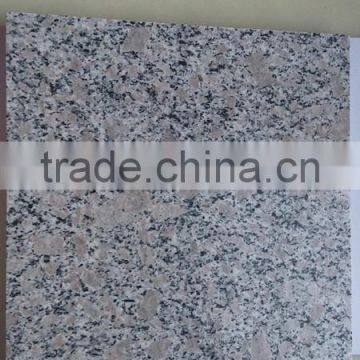 Hot Sale! Chinese Cheapest Granite Stone G383 photo-6