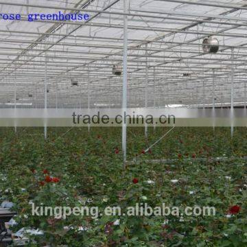 commercial rose multi-span glass green house for sale