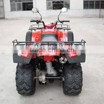 Racing Adult Utility ATV 300CC photo-3