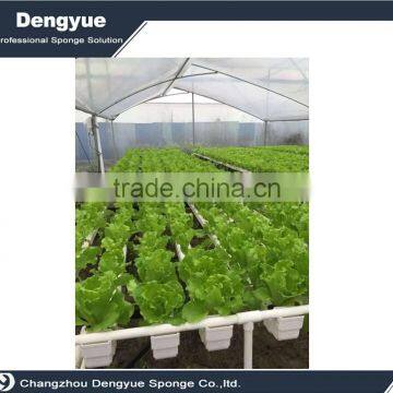 Agricultural Soilless Vertical Cell Seed Foam Tray