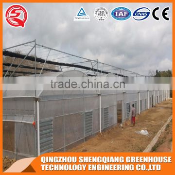 2017 China plastic tunnel greenhouse agriculture made in China