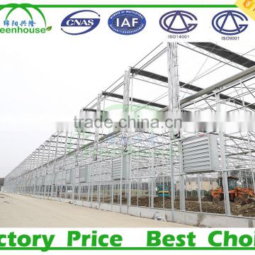 Price of Agricultural Multi Span Greenhouse Structure