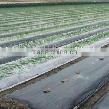 Agriculture Mulch Films ,perforated Clear Mulch Film (with 2 or 4 Holes) photo-3