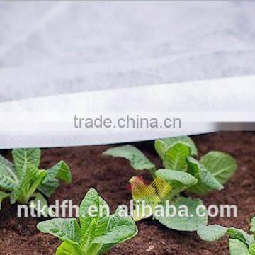 High Quality Top Grade Polypropylene Non Woven Fabric photo-2