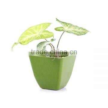 bamboo fiber flower pot with best quality