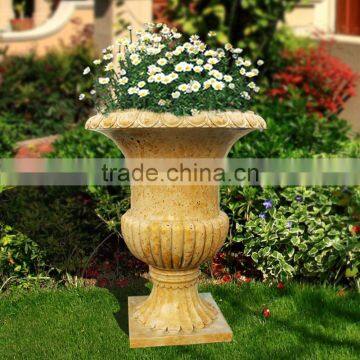 Importer Directory Plants for Large Planters VFP-N001