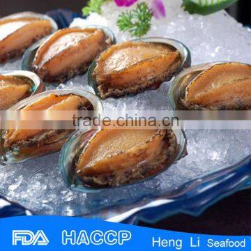 Frozen Seafood Frozen Ormer on Sale photo-4