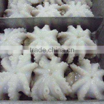 Baby Octopus Whole photo-4