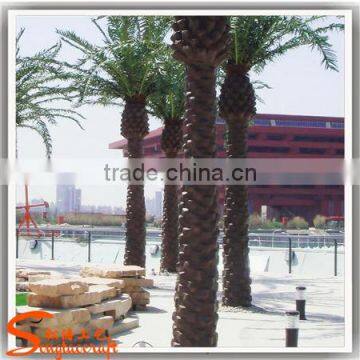 Hot Sale Fake Decoration Wood Palm Tree Names Miniature Plastic Palm Tree Decoration Palm Tree photo-4