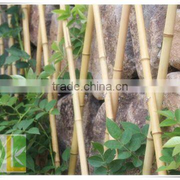 Decoration of bamboo garden fence