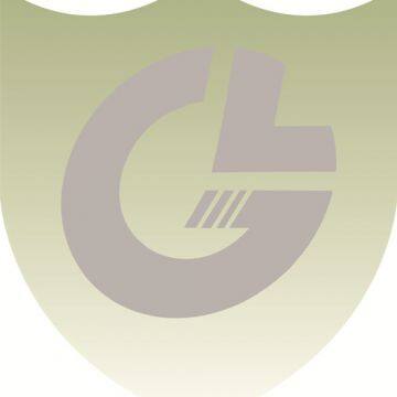 Jiaxing Ganland Auto Parts Co., Ltd