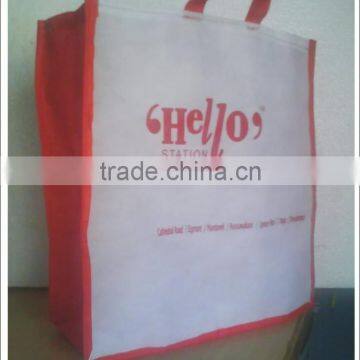 Non Woven Bags With Bottom and Logo Printed