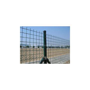 Euro Fence /PVC Coated Holland Wire Fence photo-2