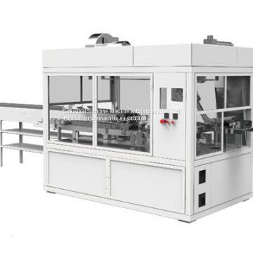 Paper Towel Packing Machine