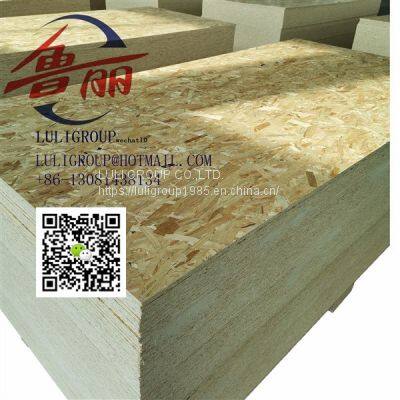 Luligroup Osb3 photo-4