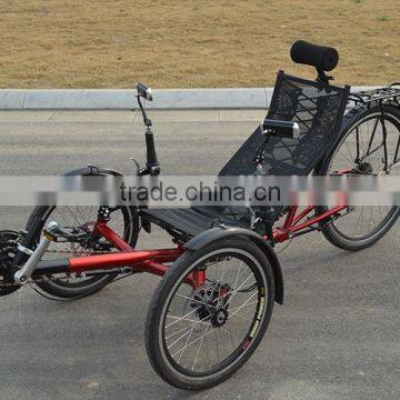 Low-slung Tadpole Style Recumbent Trike