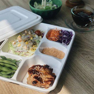 Eco friendly school lunch trays5 Compartment plates biodegradable bagasse Sugar cane