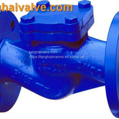 Lift swing check valve