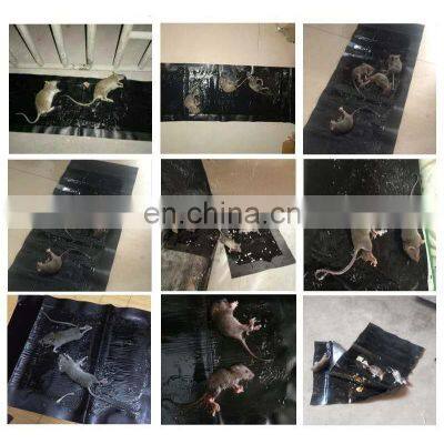 Hot Selling Large Size Harmless Mouse Mice Glue Sticker Trap Rat Glue Trap Factory Direct Sell photo-5