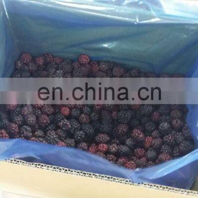 Sinocharm BRC-A Approved Fresh IQF Frozen Nutrition Blackberry With High Quality photo-2
