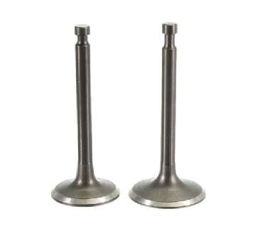 Suction and exhaust valve