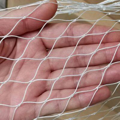 White Color Twisted Anti Bird Proof Netting