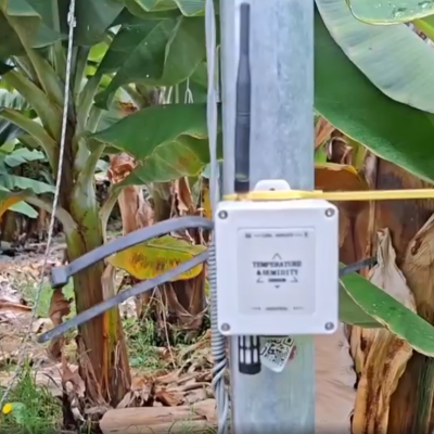 Thingsend Long Distance Battery Powered LoRa Wireless Temperature and Humidity Sensor XZ-DS01-TH2D photo-3