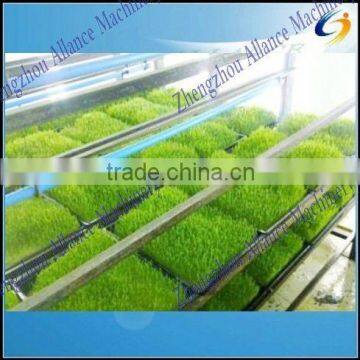 Automatic Barley Growing Machine for Livestock and Animal Feed photo-6
