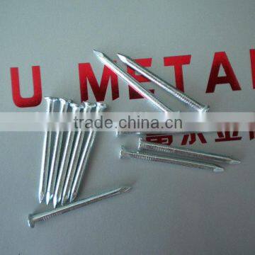 Galvanized Common Nails/Common Wire Nails/Poloshed Iron Nails photo-2
