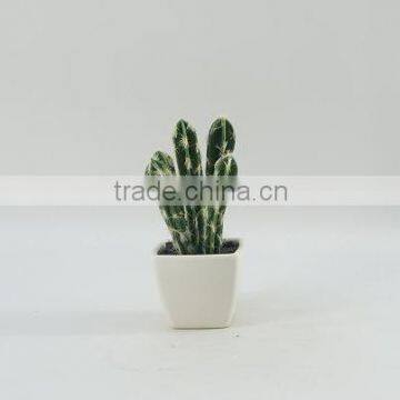 Best selling high simulation tropical plants artificial mini plastic cactus