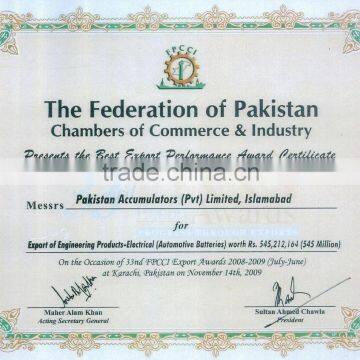 Best Export Performance Certificate (2008-2009)