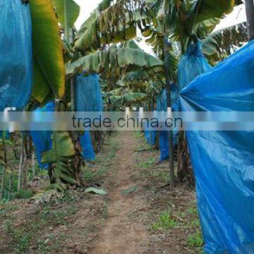 UV stabilize banana protection bag 20micron