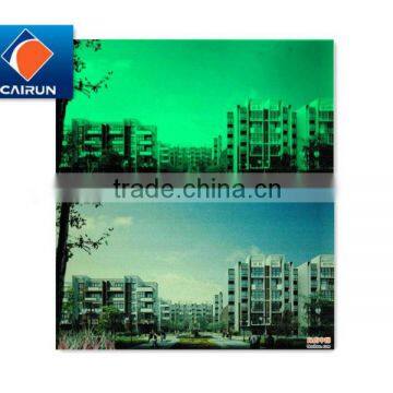 2-3hours PET luminescent film